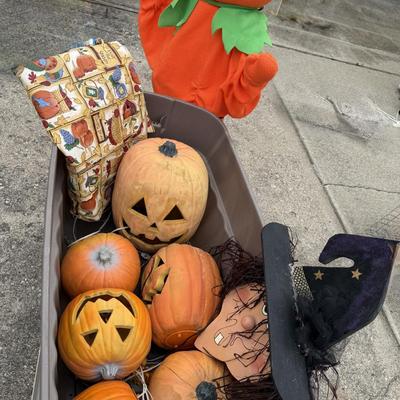Pumpkins/Halloween group with tote