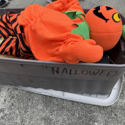 Pumpkins/Halloween group with tote