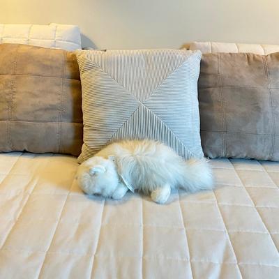 714 Twin Bed with Bedspread and Pillows