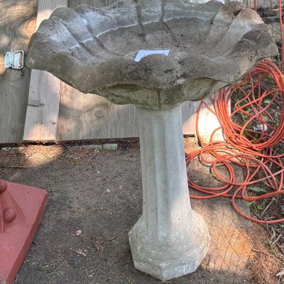 Bird Bath