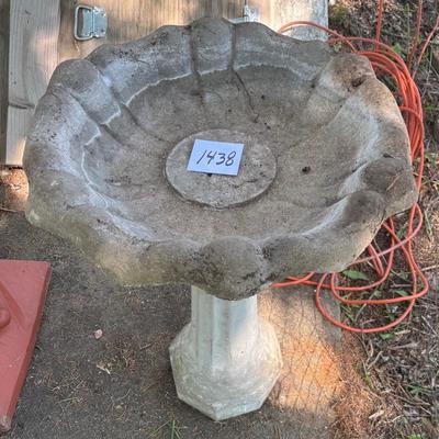 Bird Bath