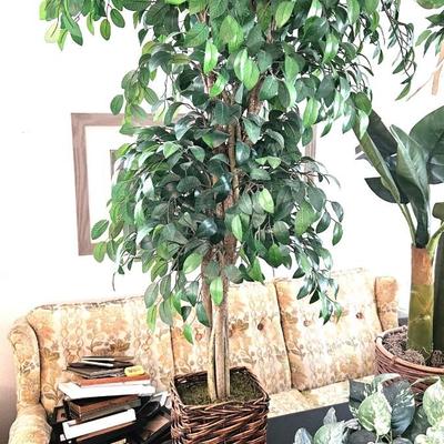 Artificial Household Plant Lot