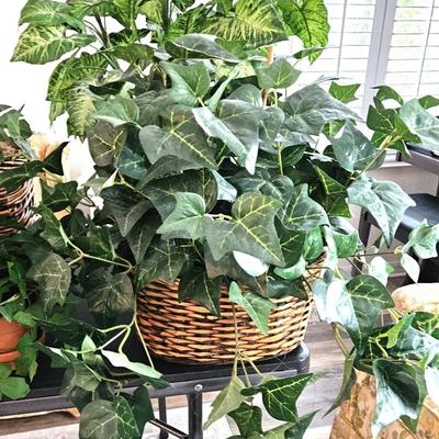 Artificial Household Plant Lot