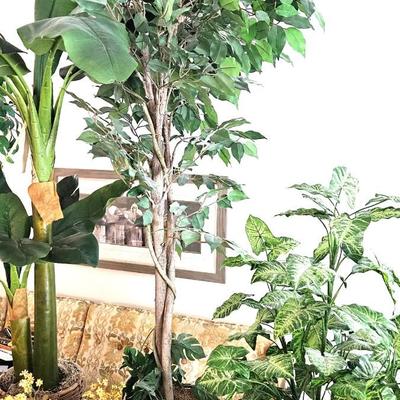 Artificial Household Plant Lot