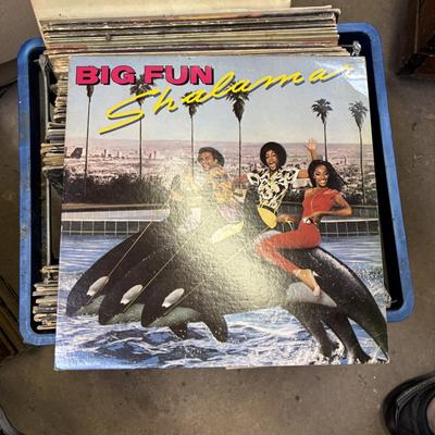 LOT 90: Crate of Lp's: Eddie Murphy, Prince, Luther Vandross, Sting, Miami Vice and More