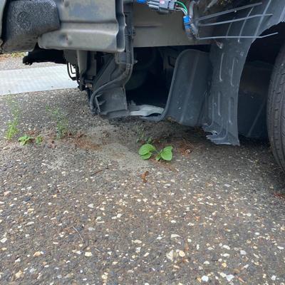 LOT 219: 2014 Kia Optima GDI Sedan