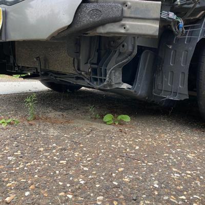 LOT 219: 2014 Kia Optima GDI Sedan