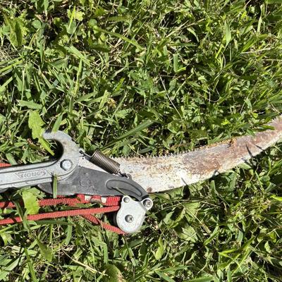Corona Pole Pruner