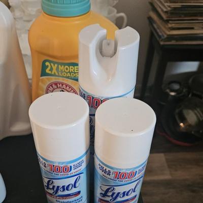 Household Chemical Lot