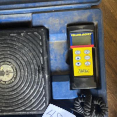 Yellow Jacket Scales