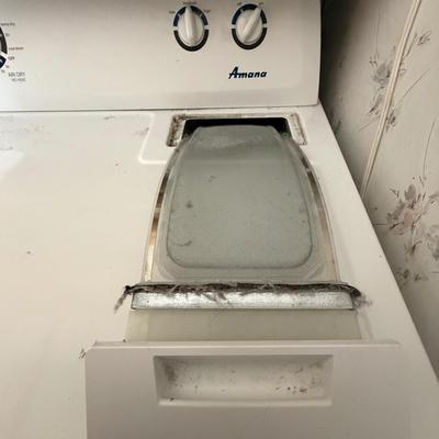 Amana Electric Dryer in working condition