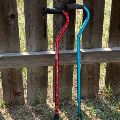 Mobility pole and canes