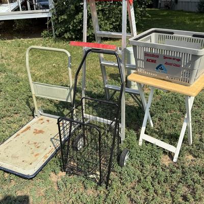 Ladder, 2 carts and more