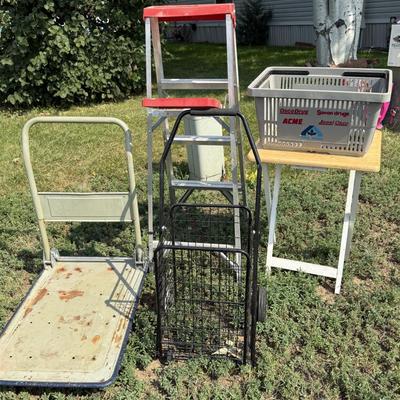 Ladder, 2 carts and more