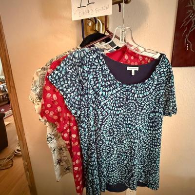6 Blouses Crofts & Barrow (medium-lrg)
