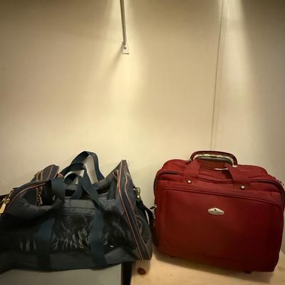 Carry on bag and Pet carrier