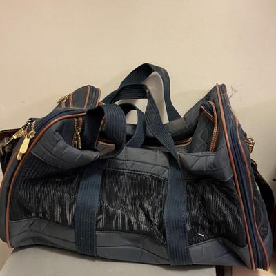 Carry on bag and Pet carrier