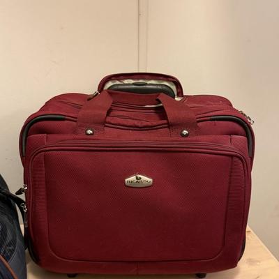 Carry on bag and Pet carrier