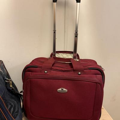 Carry on bag and Pet carrier