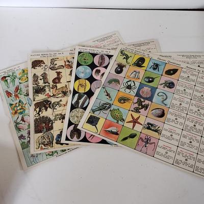 Sale Photo Thumbnail #549