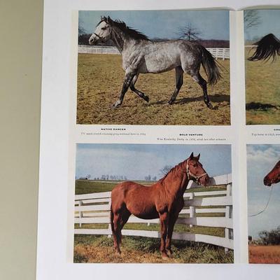 Sale Photo Thumbnail #729