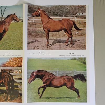 Sale Photo Thumbnail #728