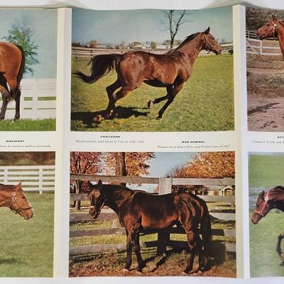 Sale Photo Thumbnail #727