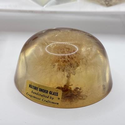 LOT 116K: Paperweight Collection: Playboy, Coins & More