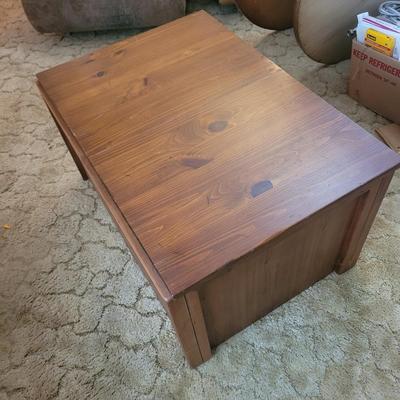 Solid Wood Storage Chest (LR-EL)