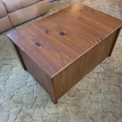 Solid Wood Storage Chest (LR-EL)