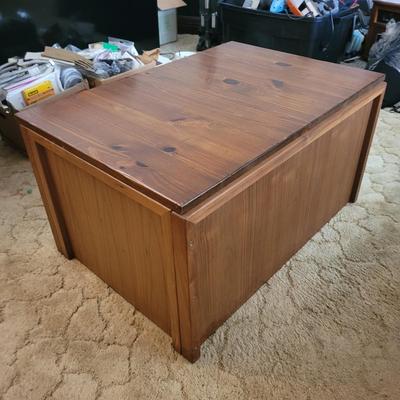 Solid Wood Storage Chest (LR-EL)