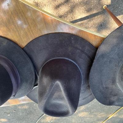 Vi tags Cowboy Hats Lot