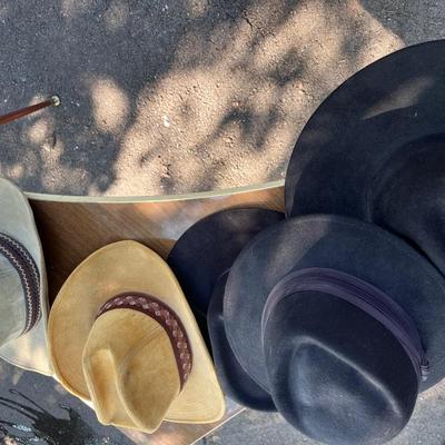 Vi tags Cowboy Hats Lot