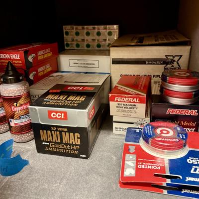 Large Champion Safe Includes Contents!