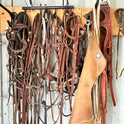 Horse bridles, reigns 
