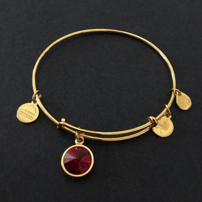 Alex and Ani energy charm bracelet