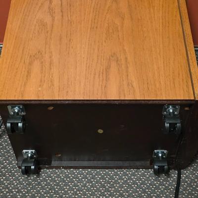 LOT 134S: Sun Twin Portable Heater W/Remote