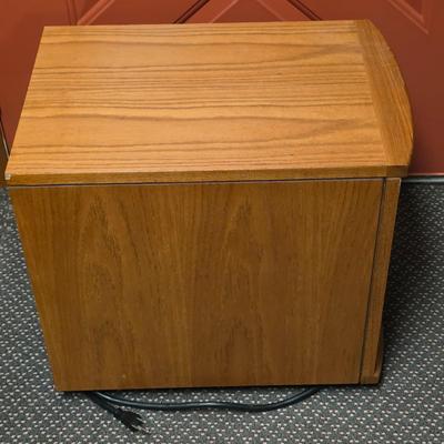 LOT 134S: Sun Twin Portable Heater W/Remote