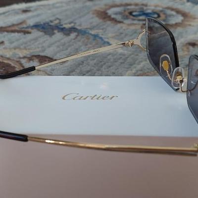 Cartier Sunglasses Black Lense