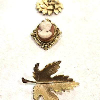 Pins & Brooches Lot #1