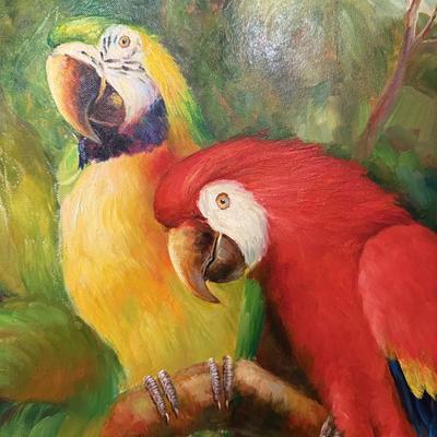 Macaw Oil Painting with COA (P-BM)