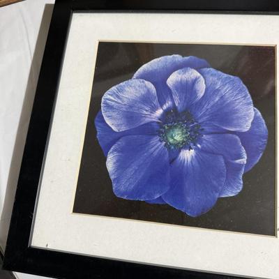 Framed Art, Plus