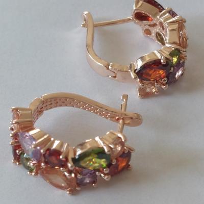 Fashion Earrings