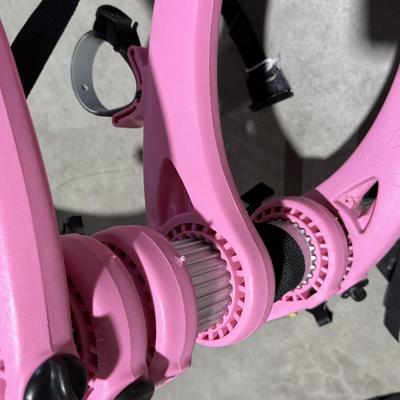 Saris Bones 3 Bike Trunk Mount