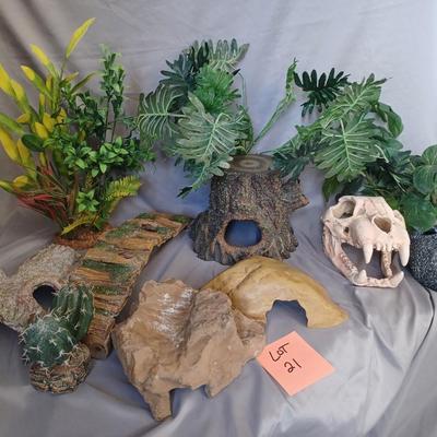Sale Photo Thumbnail #123: 11 items for a Terrarium