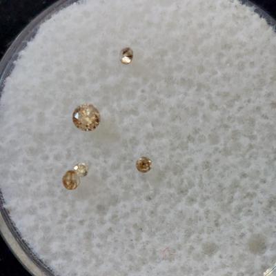 Small loose natural diamonds
