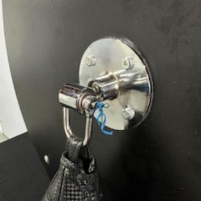 WALL MOUNTED PUNCHING/SPEED BAG