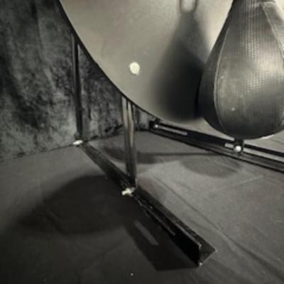 WALL MOUNTED PUNCHING/SPEED BAG