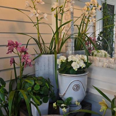 Sale Photo Thumbnail #32: Planters and poss
