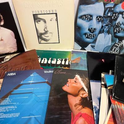 Rock Albums / Records Lot.